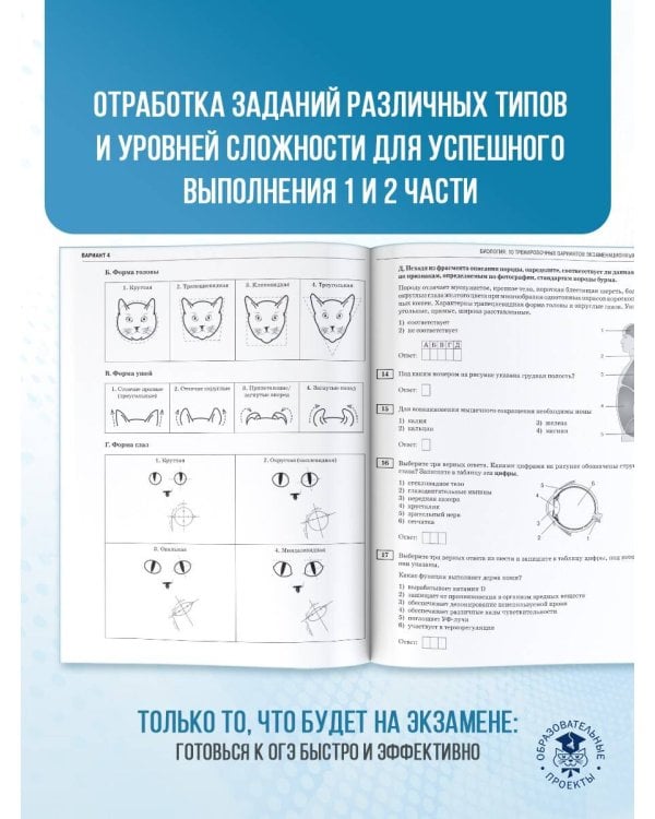 ОГЭ-2025. Биология. 10 тренировочных вариантов экзаменационных работ для подготовки к основному государственному экзамену