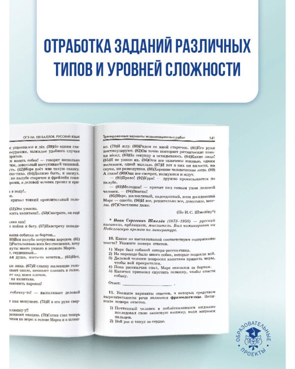 ОГЭ. Русский язык. ОГЭ на 100 баллов. Справочник: Теория и практика