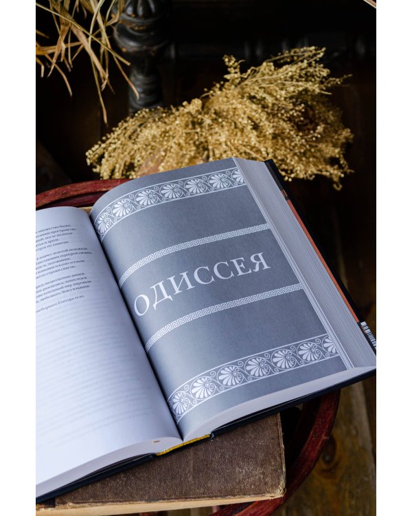 Илиада. Одиссея