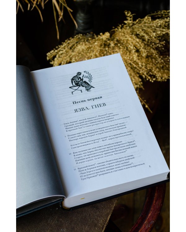 Илиада. Одиссея