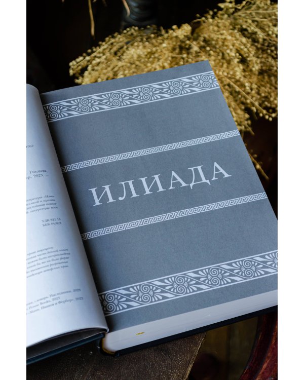 Илиада. Одиссея