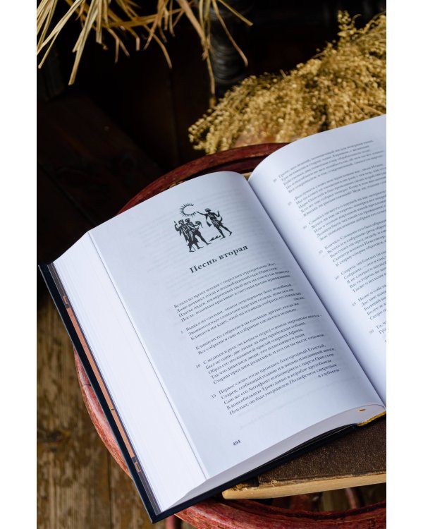 Илиада. Одиссея