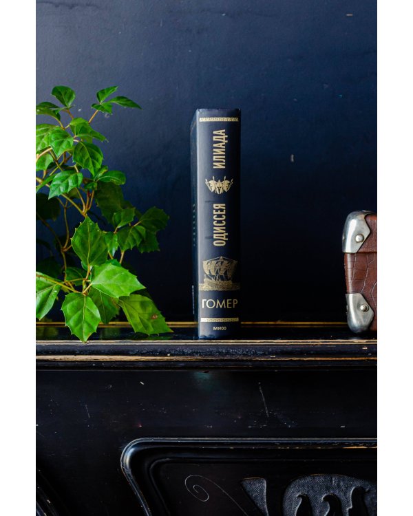 Илиада. Одиссея