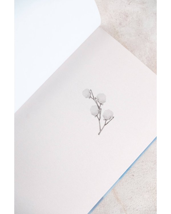 Долина золотоискателей