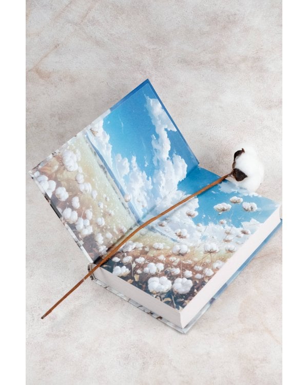 Долина золотоискателей