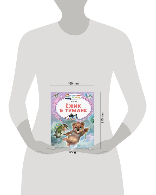 Ёжик в тумане