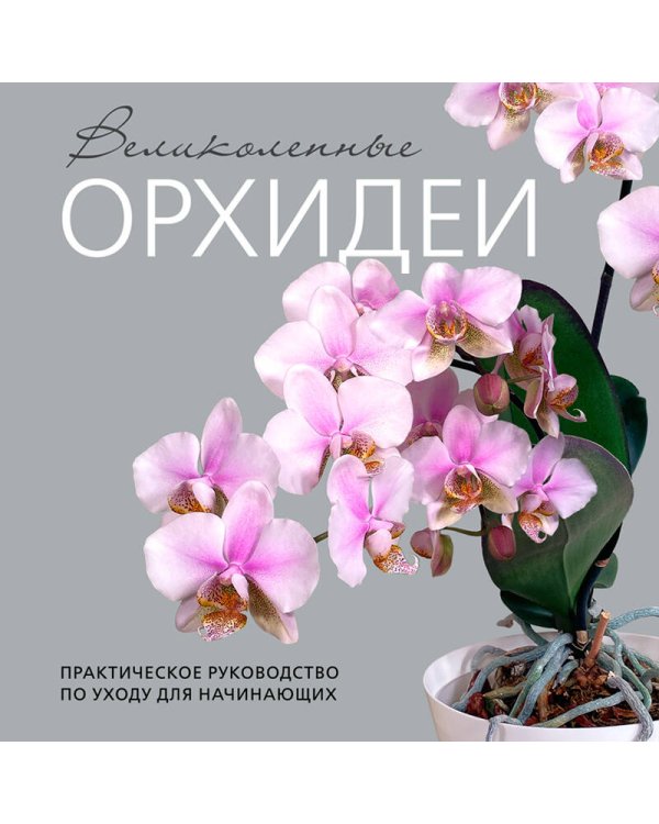 Великолепные орхидеи. Практичное руководство по уходу для начинающих