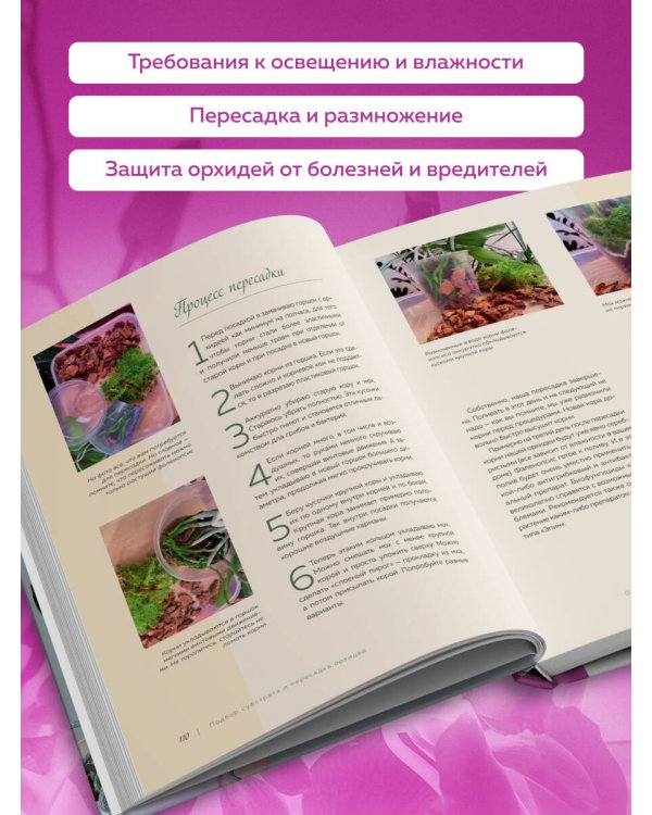 Великолепные орхидеи. Практичное руководство по уходу для начинающих