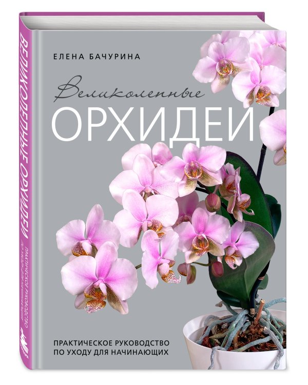 Великолепные орхидеи. Практичное руководство по уходу для начинающих