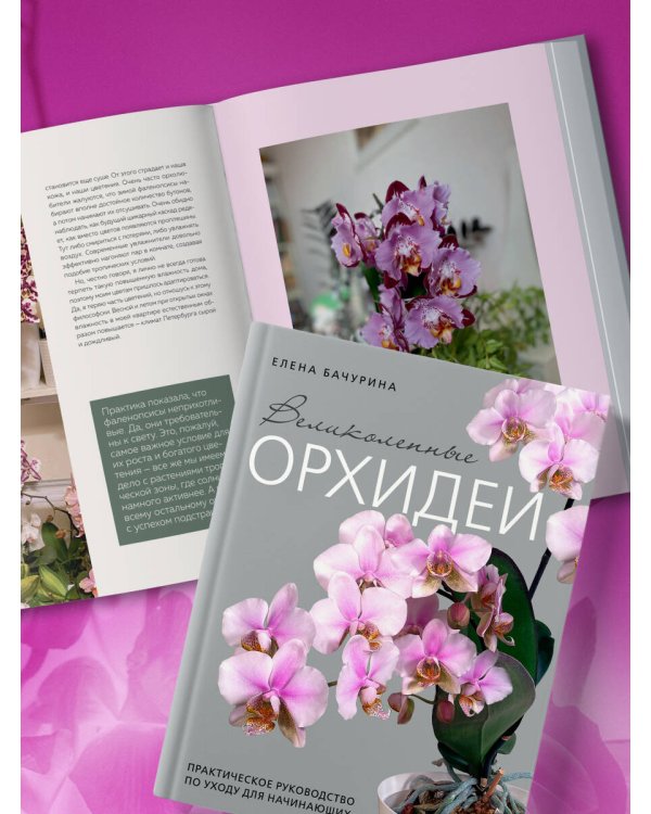 Великолепные орхидеи. Практичное руководство по уходу для начинающих