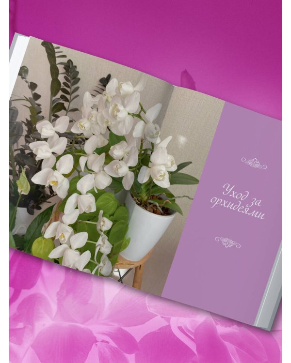 Великолепные орхидеи. Практичное руководство по уходу для начинающих