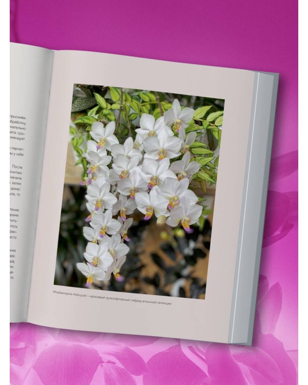 Великолепные орхидеи. Практичное руководство по уходу для начинающих