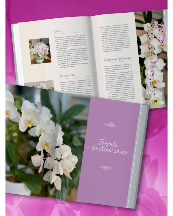 Великолепные орхидеи. Практичное руководство по уходу для начинающих