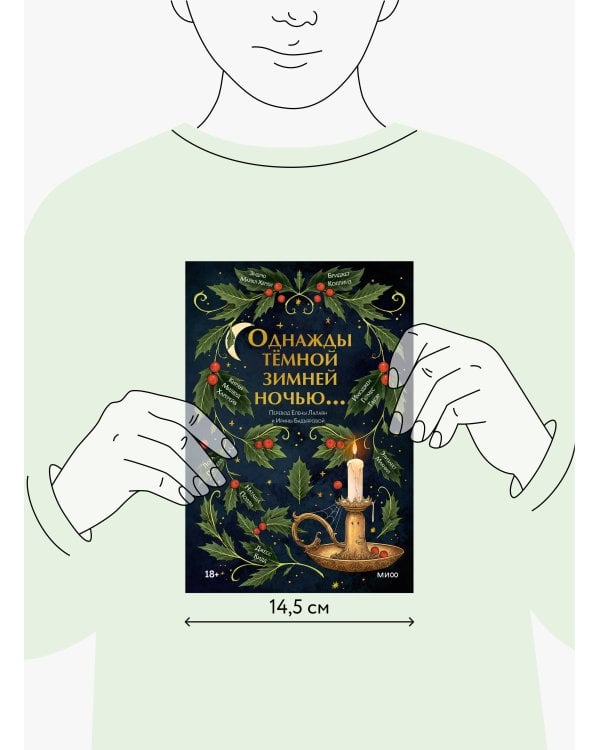 Однажды темной зимней ночью...