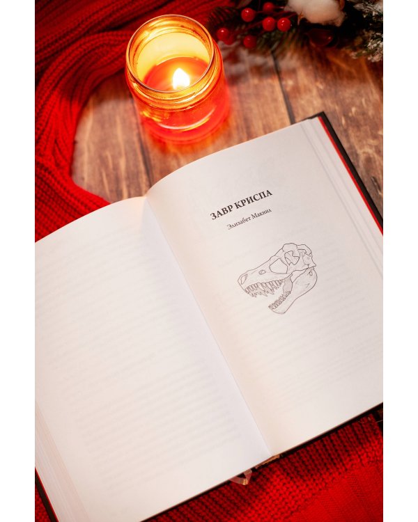 Однажды темной зимней ночью...