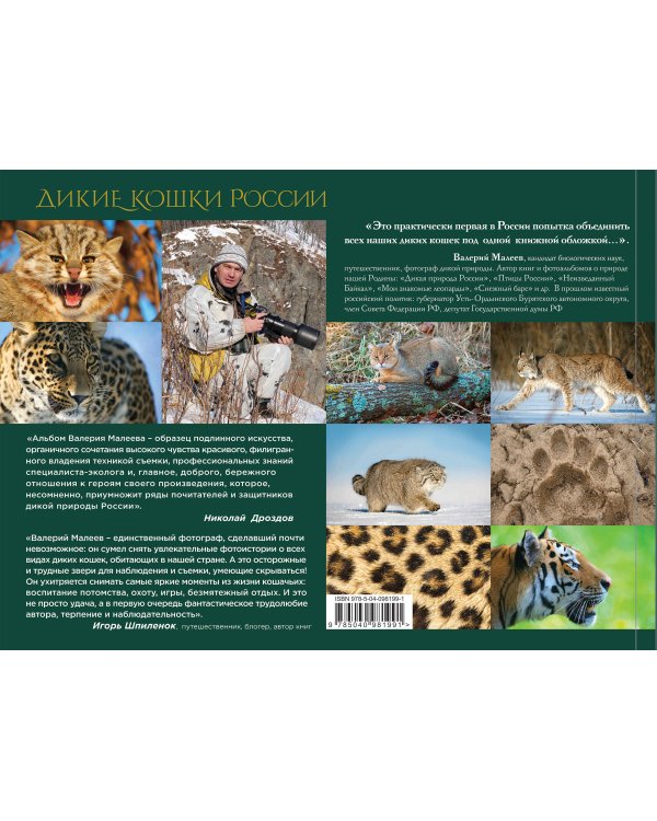 Дикие кошки России: иллюстрированный авторский фотоальбом