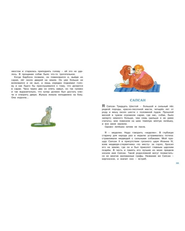 Белый пудель