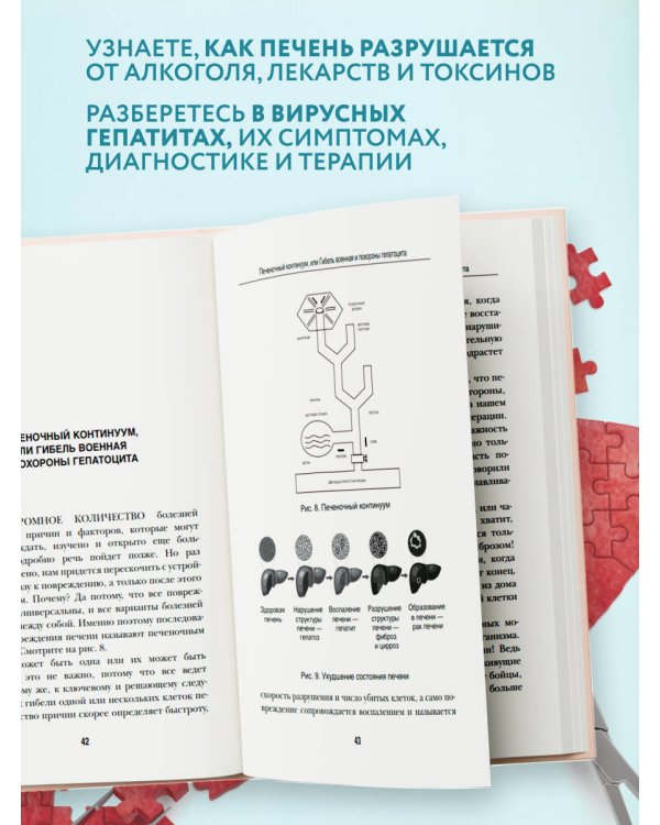 О чем молчит печень. Как уловить сигналы самого крупного внутреннего органа, который предпочитает оставаться в тени