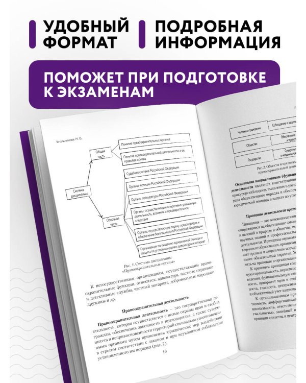 Правоохранительные органы в схемах и определениях. 2-е издание