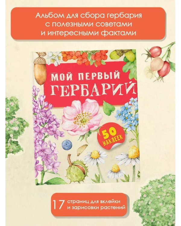 Мой первый гербарий