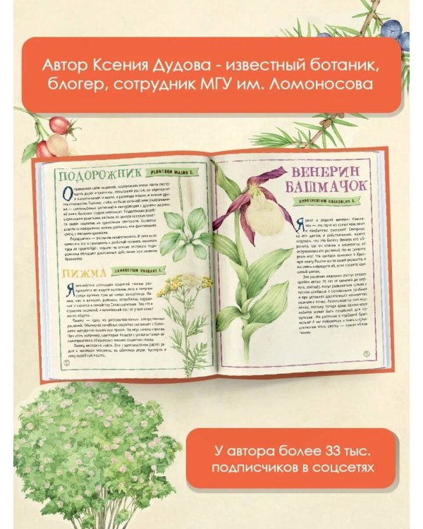 Мой первый гербарий