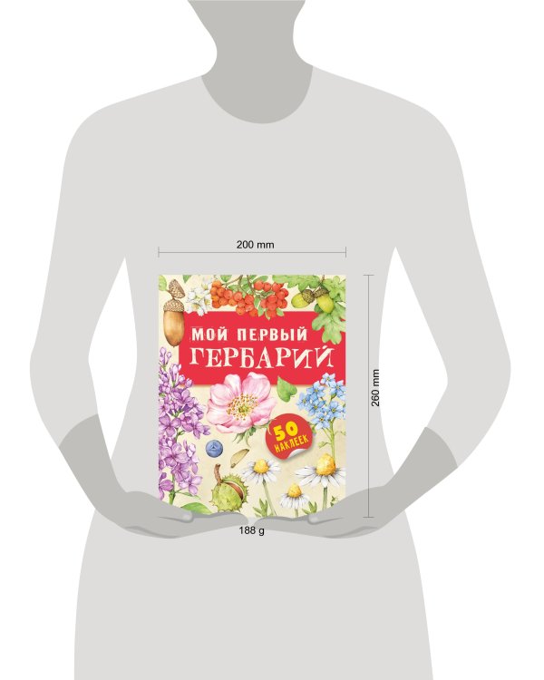 Мой первый гербарий