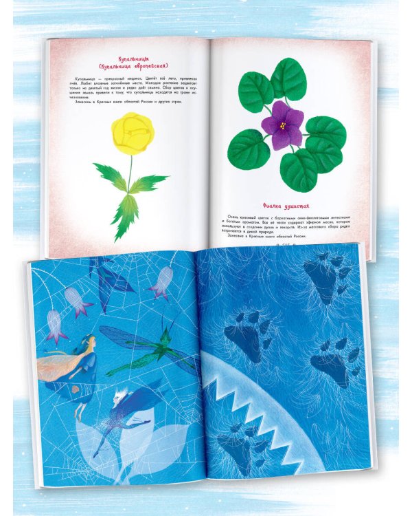 Стражи леса. Сказки для почемучки