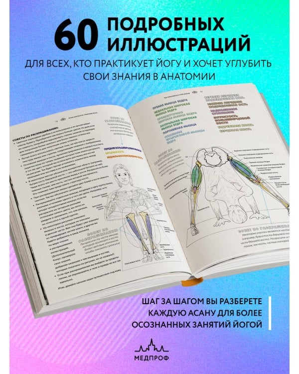 Анатомия йоги: атлас-раскраска. Визуальный гид по телу — от структуры к осознанной практике
