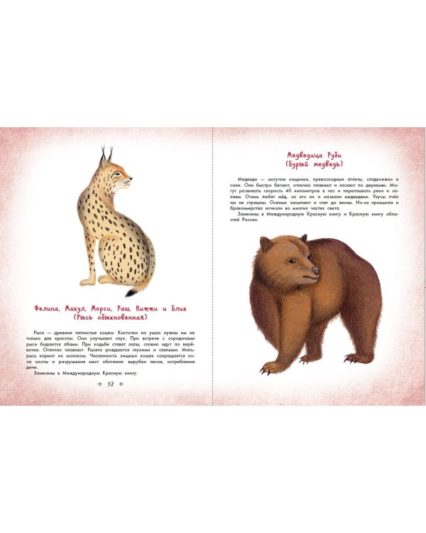 Стражи леса. Сказки для почемучки