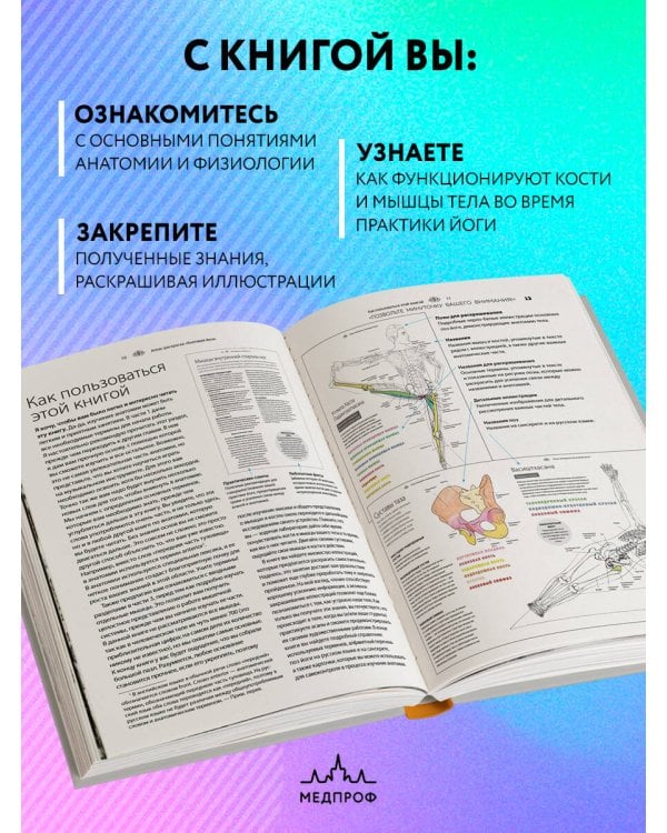 Анатомия йоги: атлас-раскраска. Визуальный гид по телу — от структуры к осознанной практике