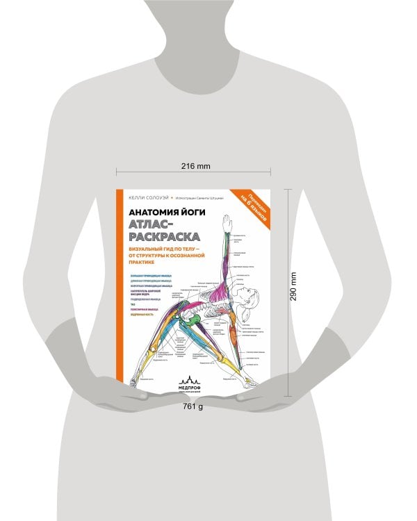 Анатомия йоги: атлас-раскраска. Визуальный гид по телу — от структуры к осознанной практике