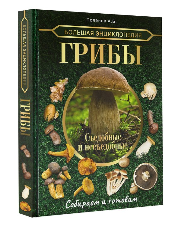 Большая энциклопедия. Грибы. Съедобные и несъедобные. Собираем и готовим.