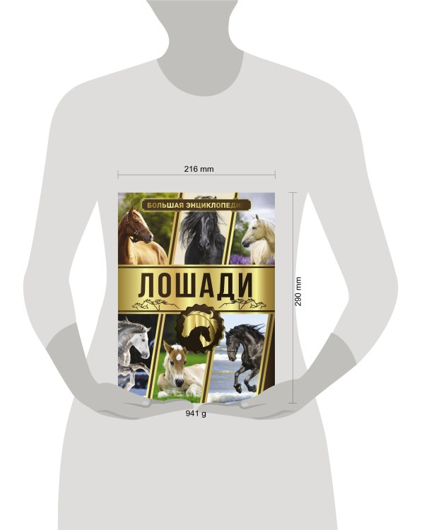 Большая энциклопедия. Лошади