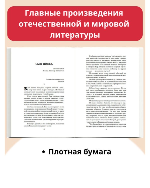 Сын полка. Рассказы о войне (ил. В. Канивца)