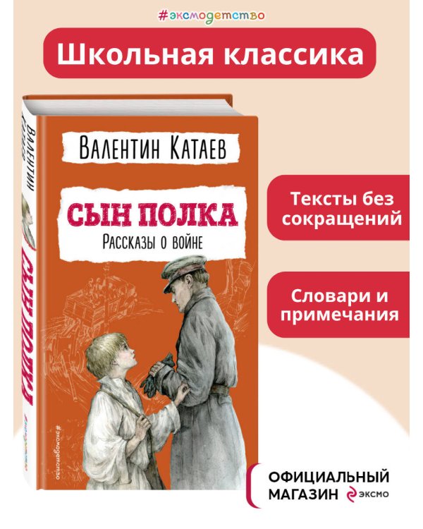Сын полка. Рассказы о войне (ил. В. Канивца)