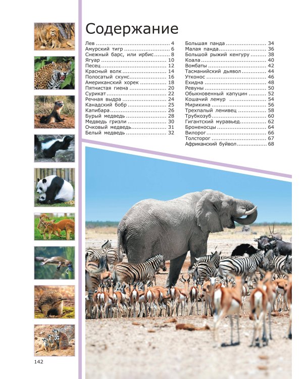 Животные