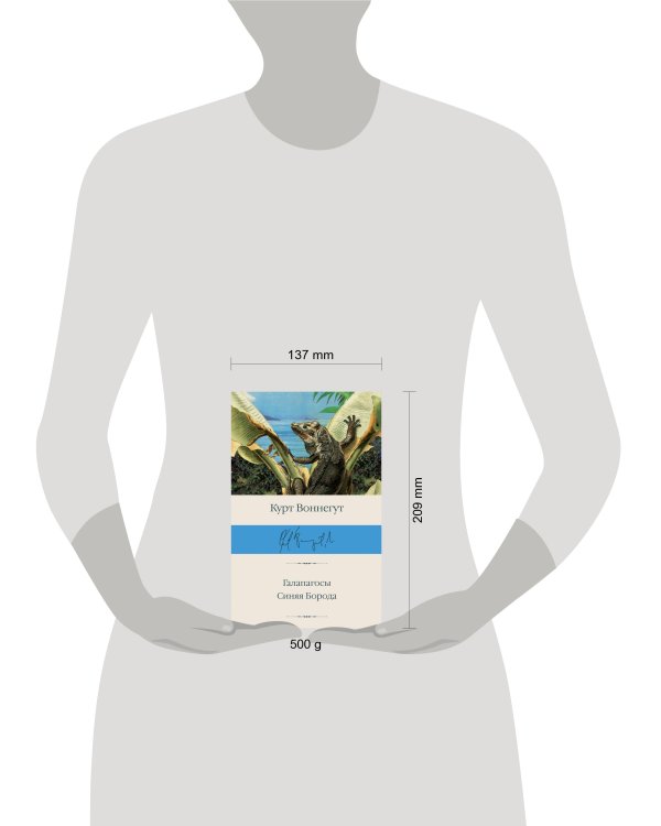 Галапагосы. Синяя Борода