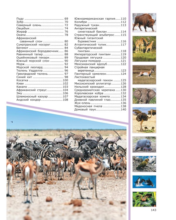 Животные