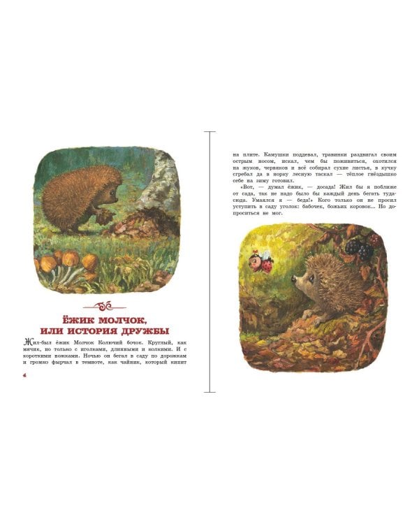 Ежик Молчок, или История дружбы