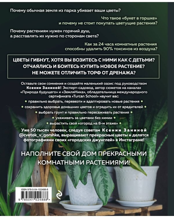Цветок в горшке. Как посадить комнатные растения и не сесть в лужу