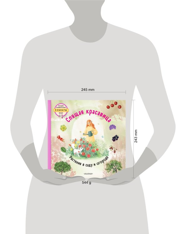 Спящая красавица