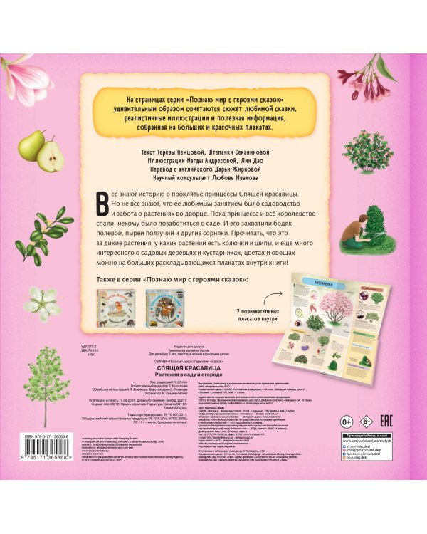 Спящая красавица