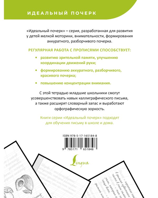 Русский язык. Учимся писать слова-заимствования