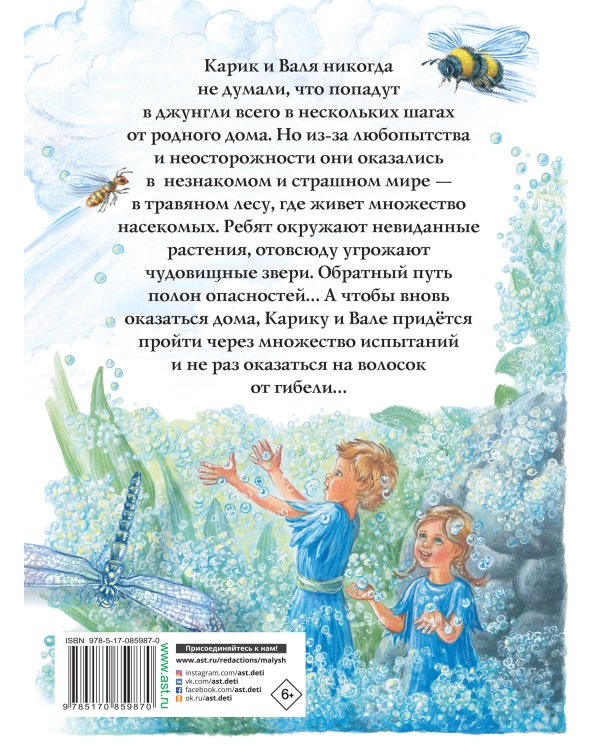 Необыкновенные приключения Карика и Вали