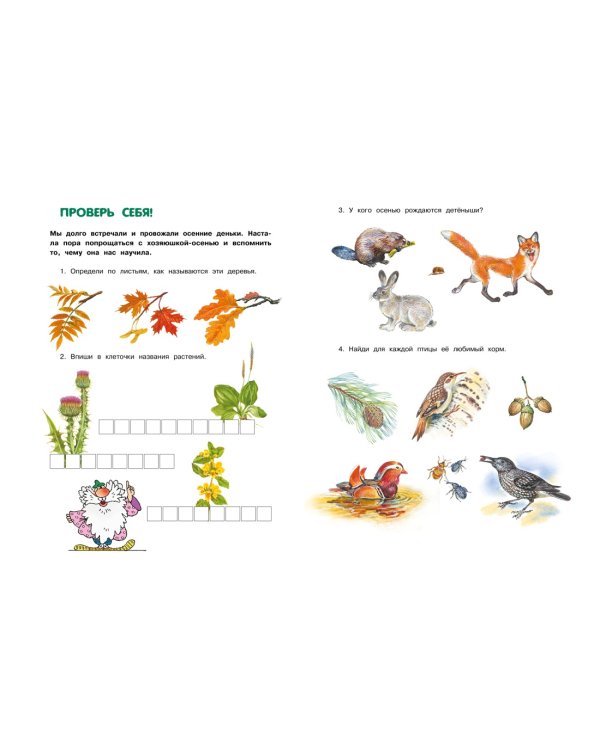 Большая лесная энциклопедия. Знакомимся с природой России