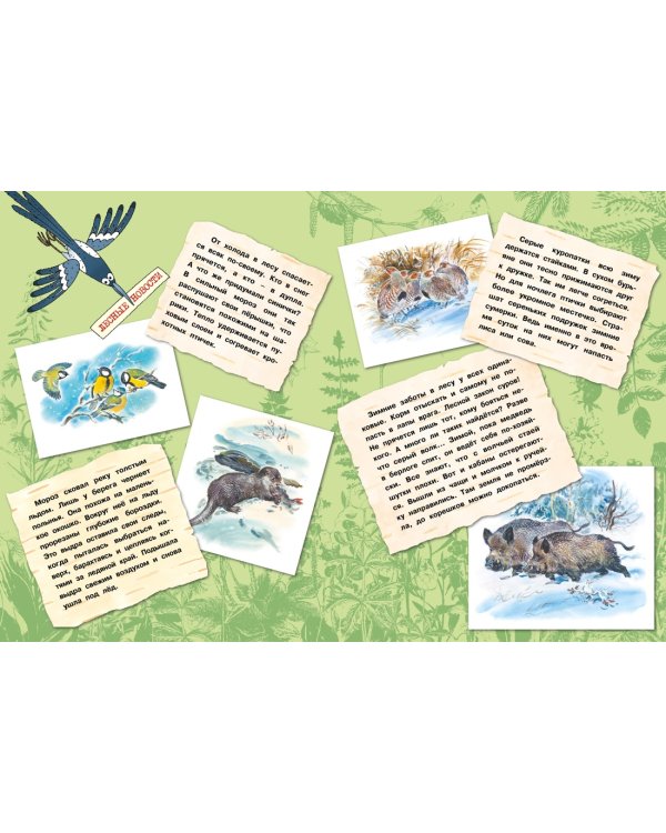 Большая лесная энциклопедия. Знакомимся с природой России