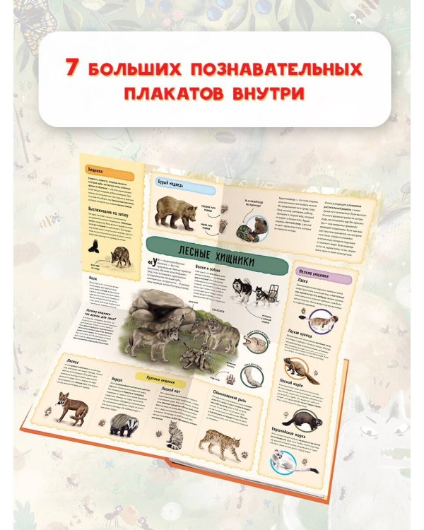 Красная шапочка