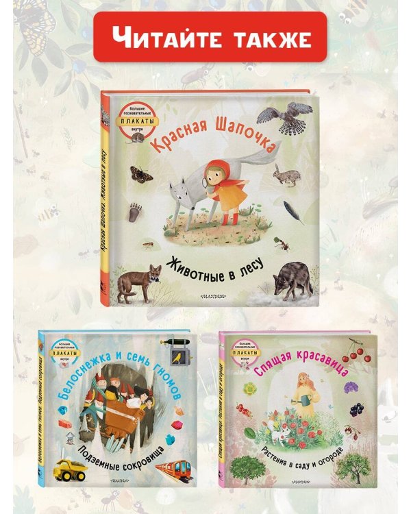 Красная шапочка