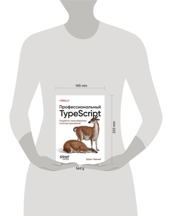 Профессиональный TypeScript. Разработка масштабируемых JavaScript-приложений