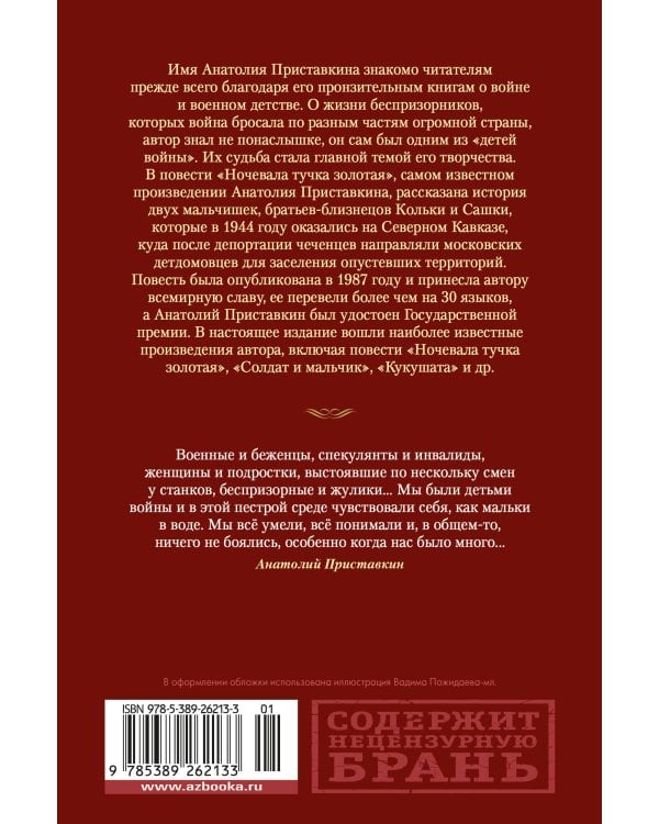 Ночевала тучка золотая. Солдат и мальчик